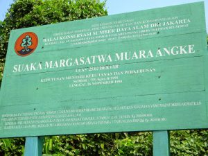7 Cagar Alam di Indonesia Dan Flora Fauna yang Dilindungi